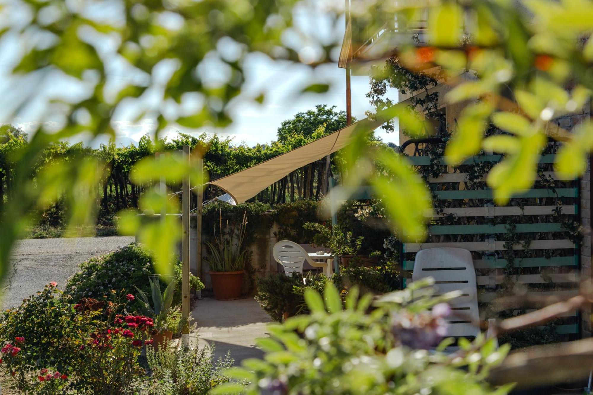 B&B La Ciammaruca Pollutri Extérieur photo