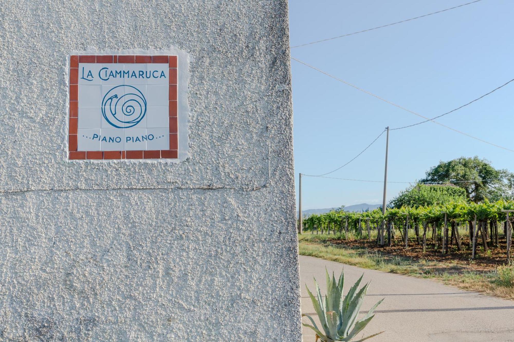 B&B La Ciammaruca Pollutri Extérieur photo